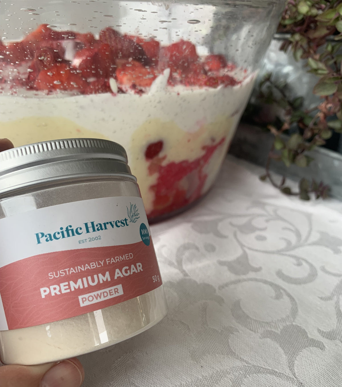 Quick Vegan Trifle With Agar Jelly Trifle | Pacific Harvest US