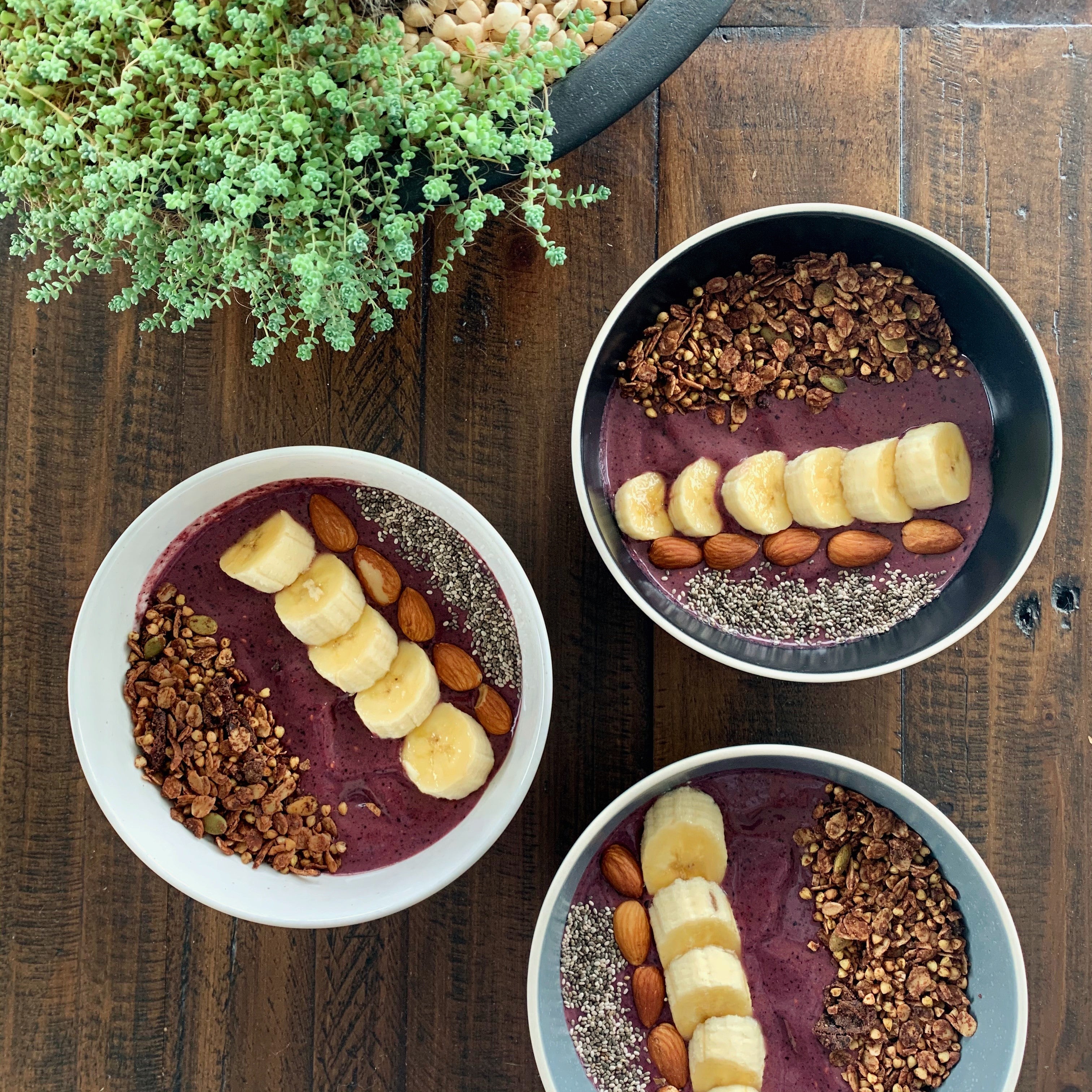 Irish Moss Smoothie Bowl