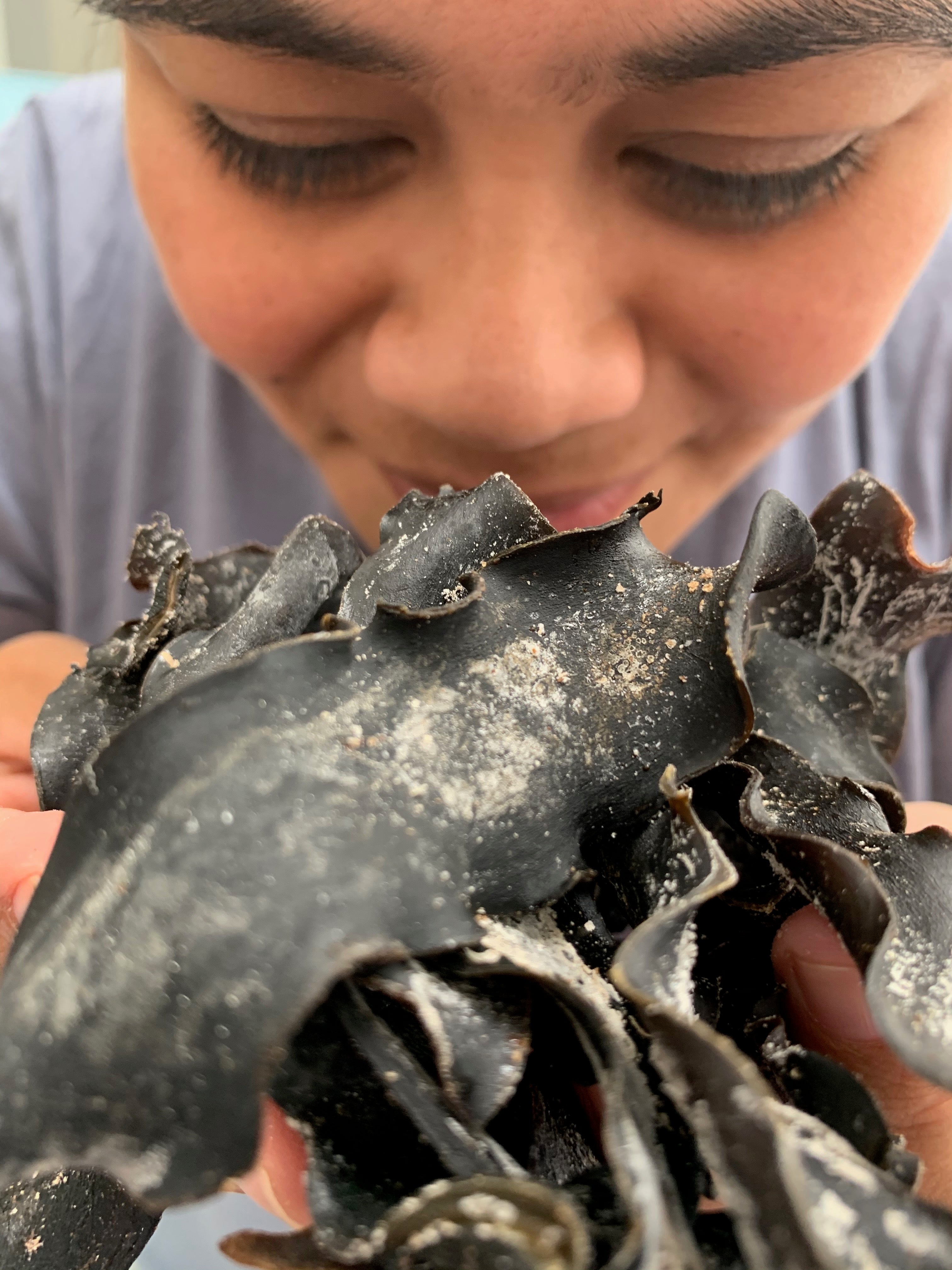 Seaweed ~ A Secret Ingredient to Boost Umami Taste