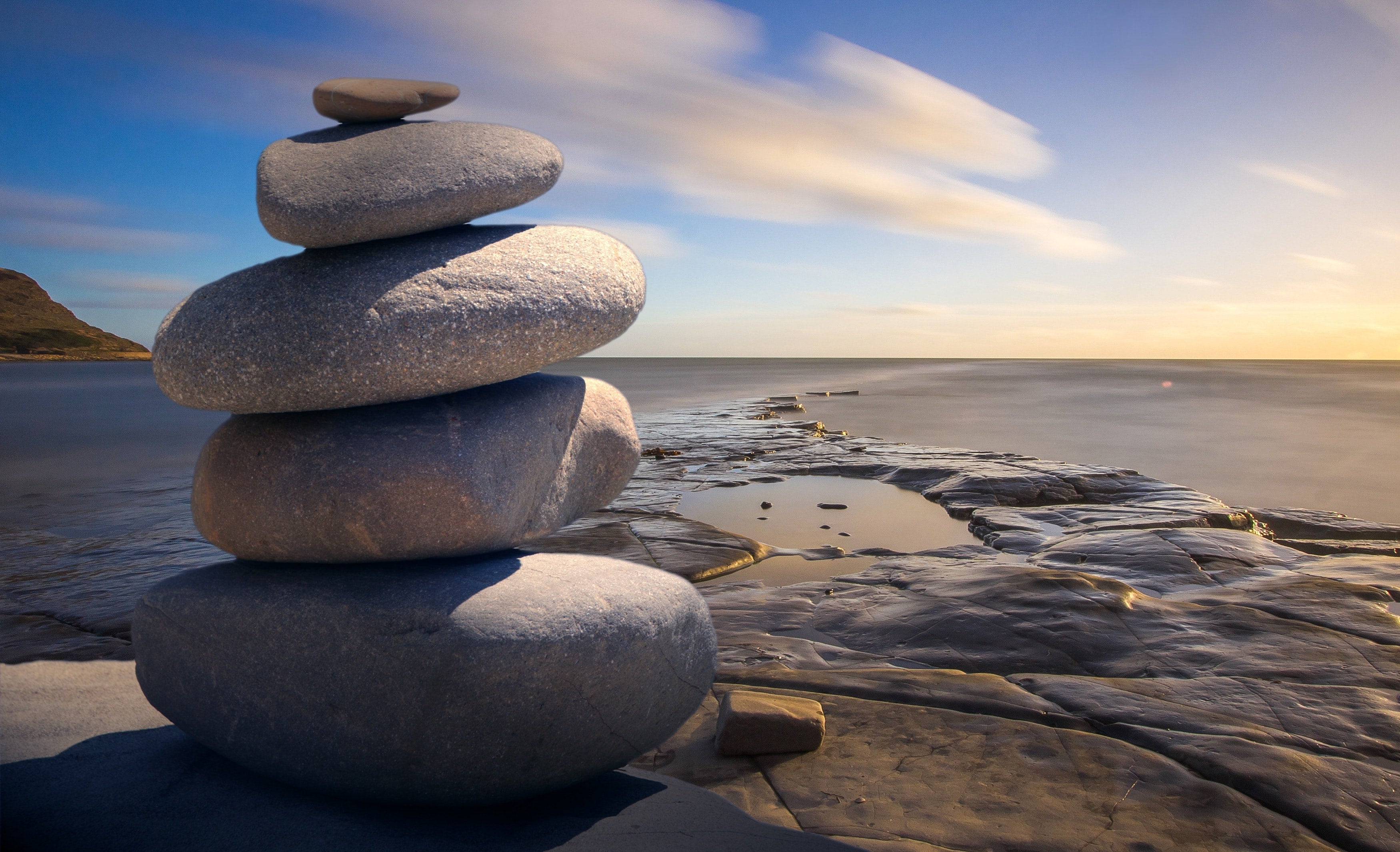 Seaweed and Holistic Health: Enhancing Your Body’s Natural Efficiency