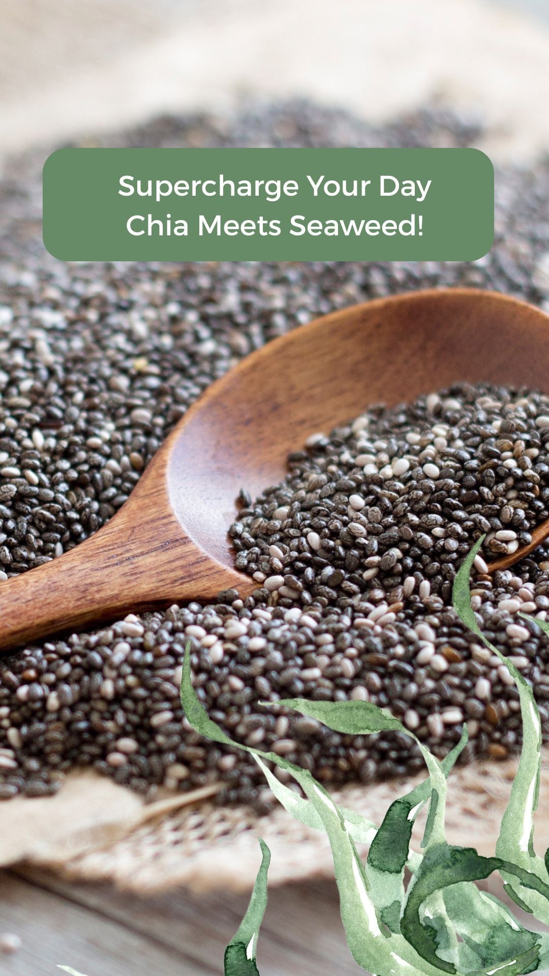 PH chia meets seaweed image for blog