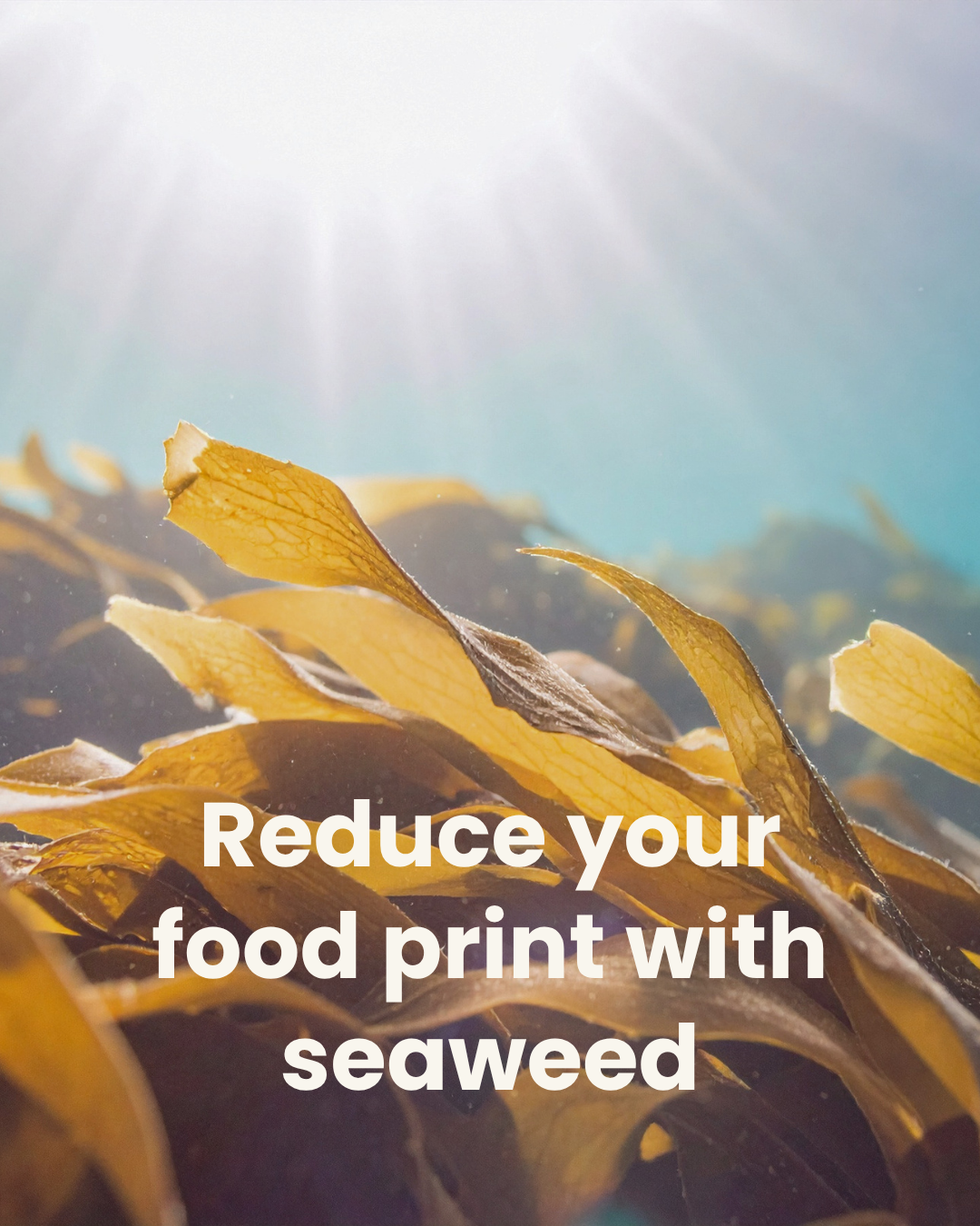 Reduce your ‘Foodprint’ with Seaweed, and Heal our Planet