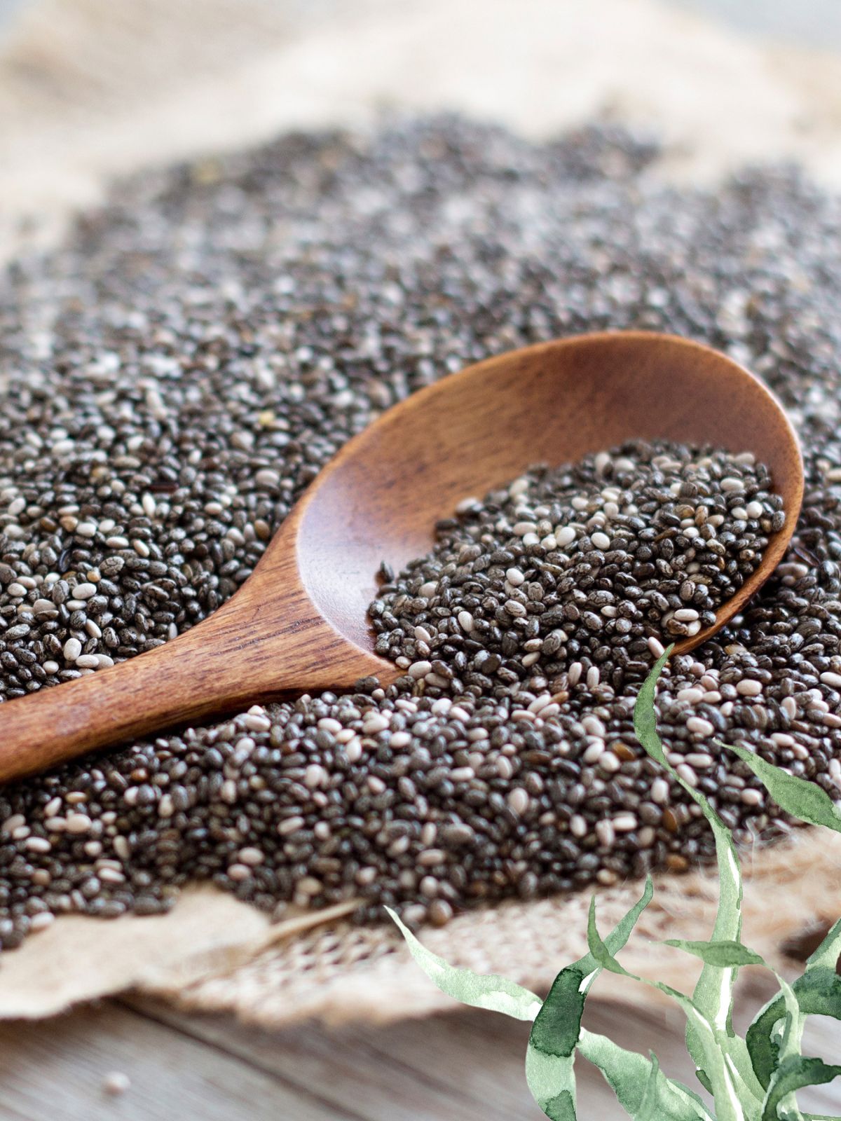 chia meets seaweed pacific harvest mobile banner