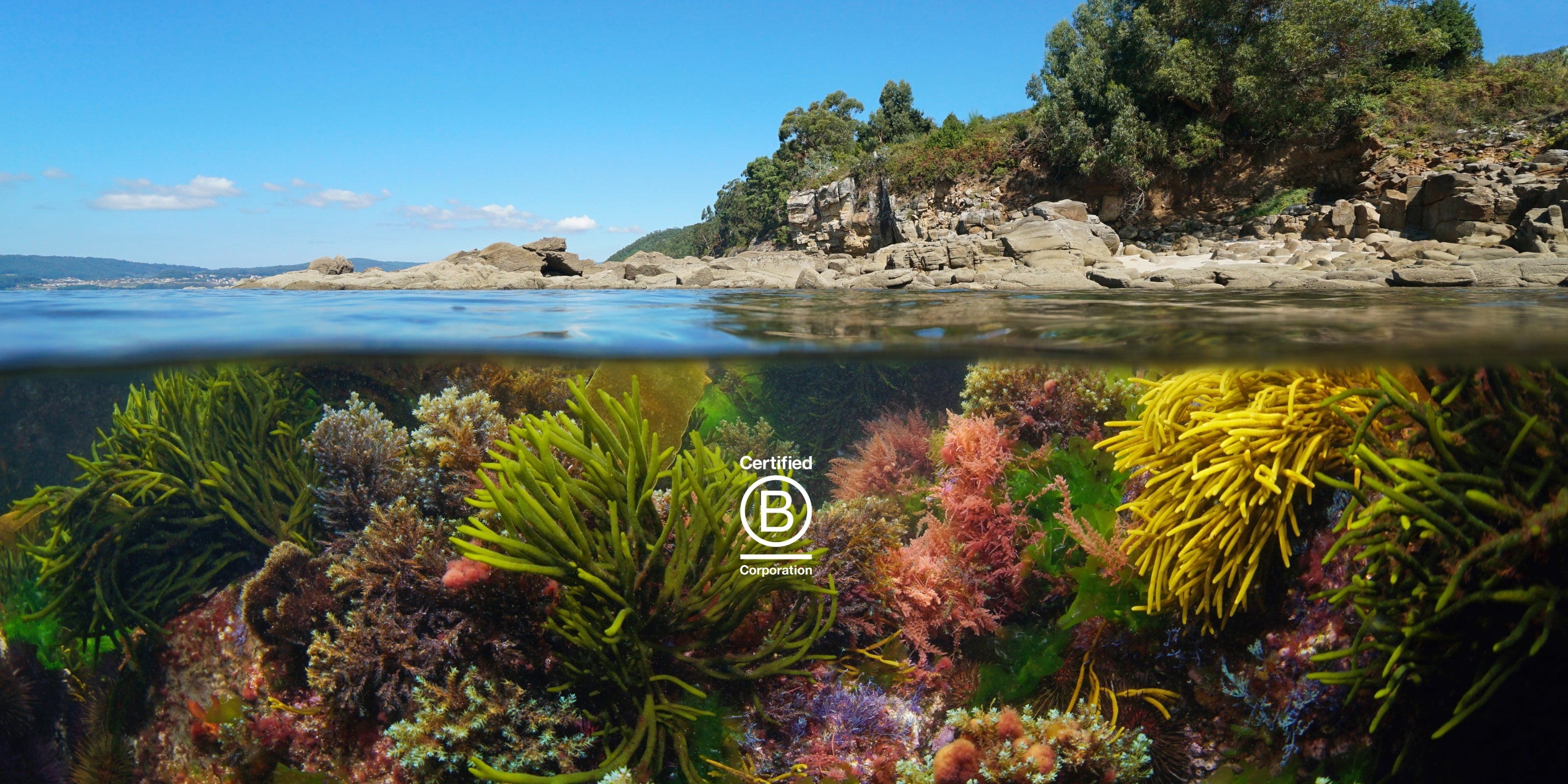 Pacific Harvest Our story header B Corp