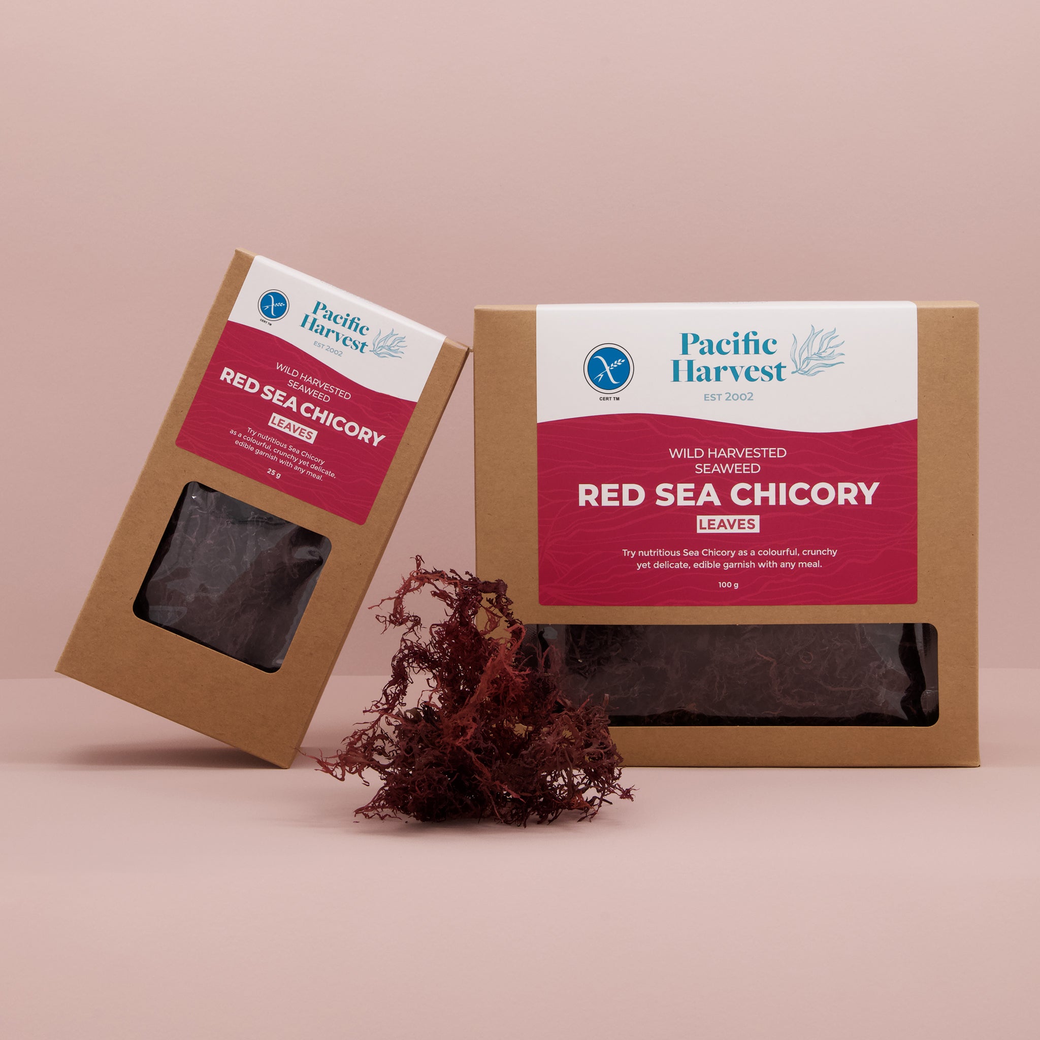 Sea Chicory Seaweed (Raw, Gluten Free, Wild Harvested )
