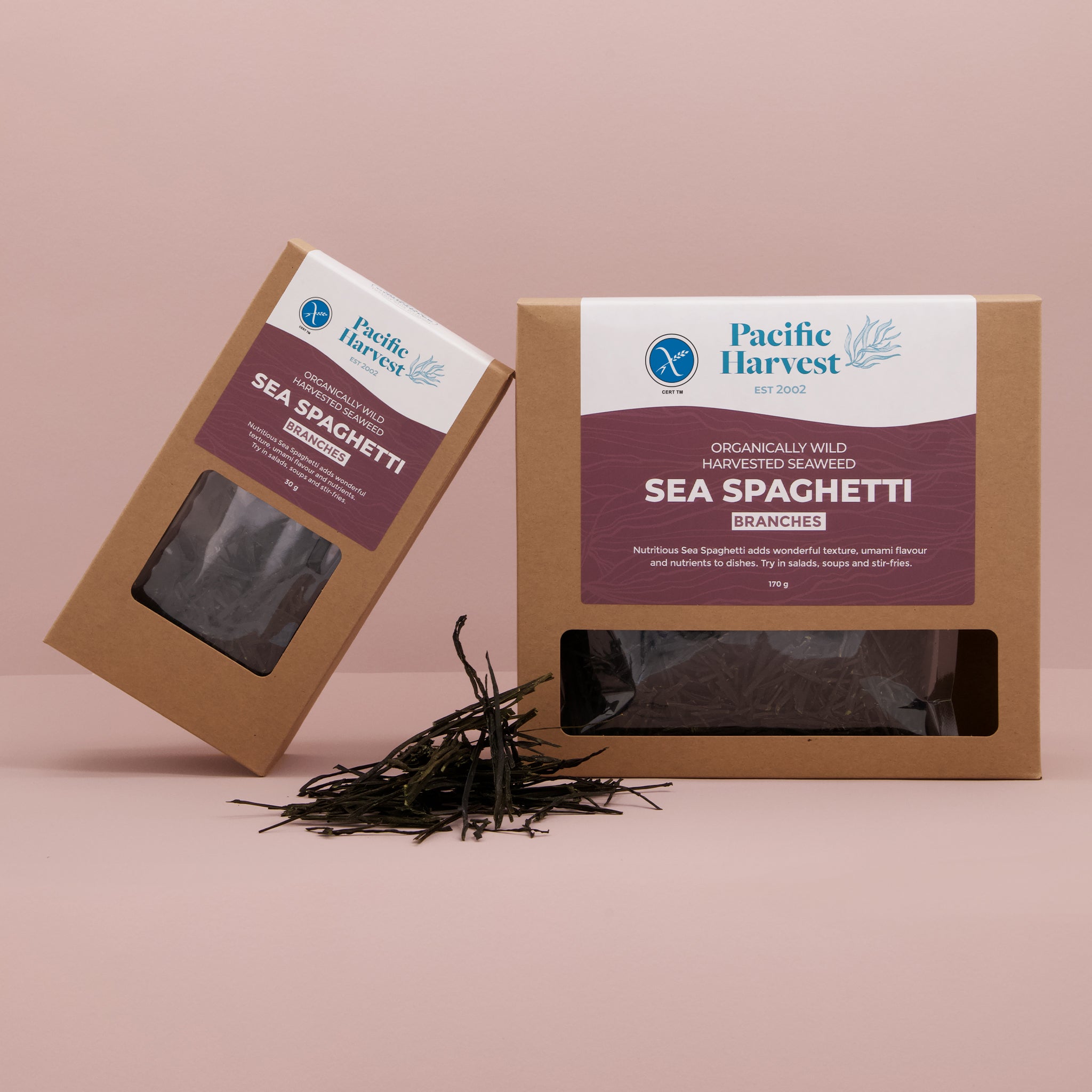 Sea Spaghetti Seaweed Branches (Raw, Gluten Free, Wild Harvested)