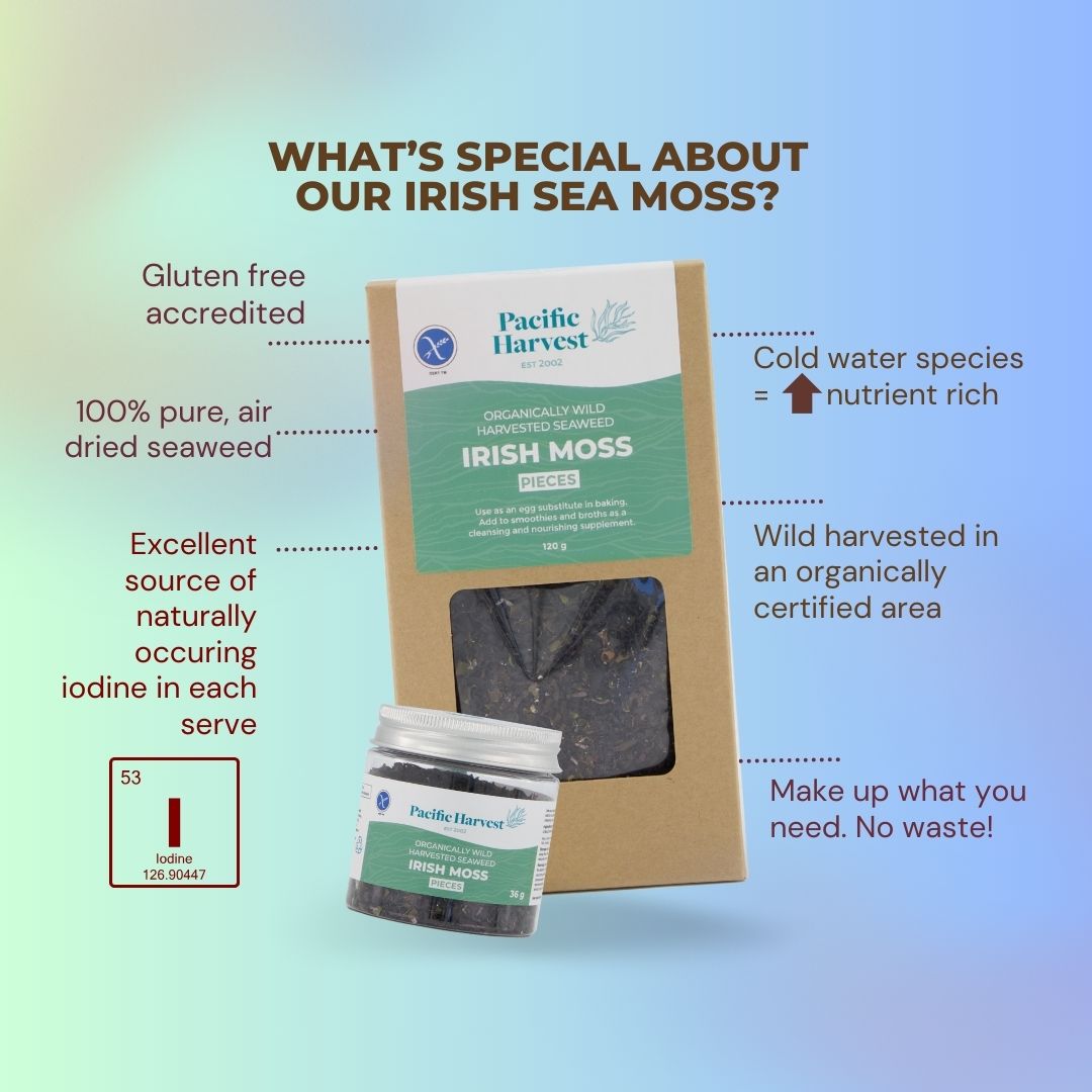 Irish Sea Moss (Sea Moss, Gluten Free, Raw, Wild Harvested)