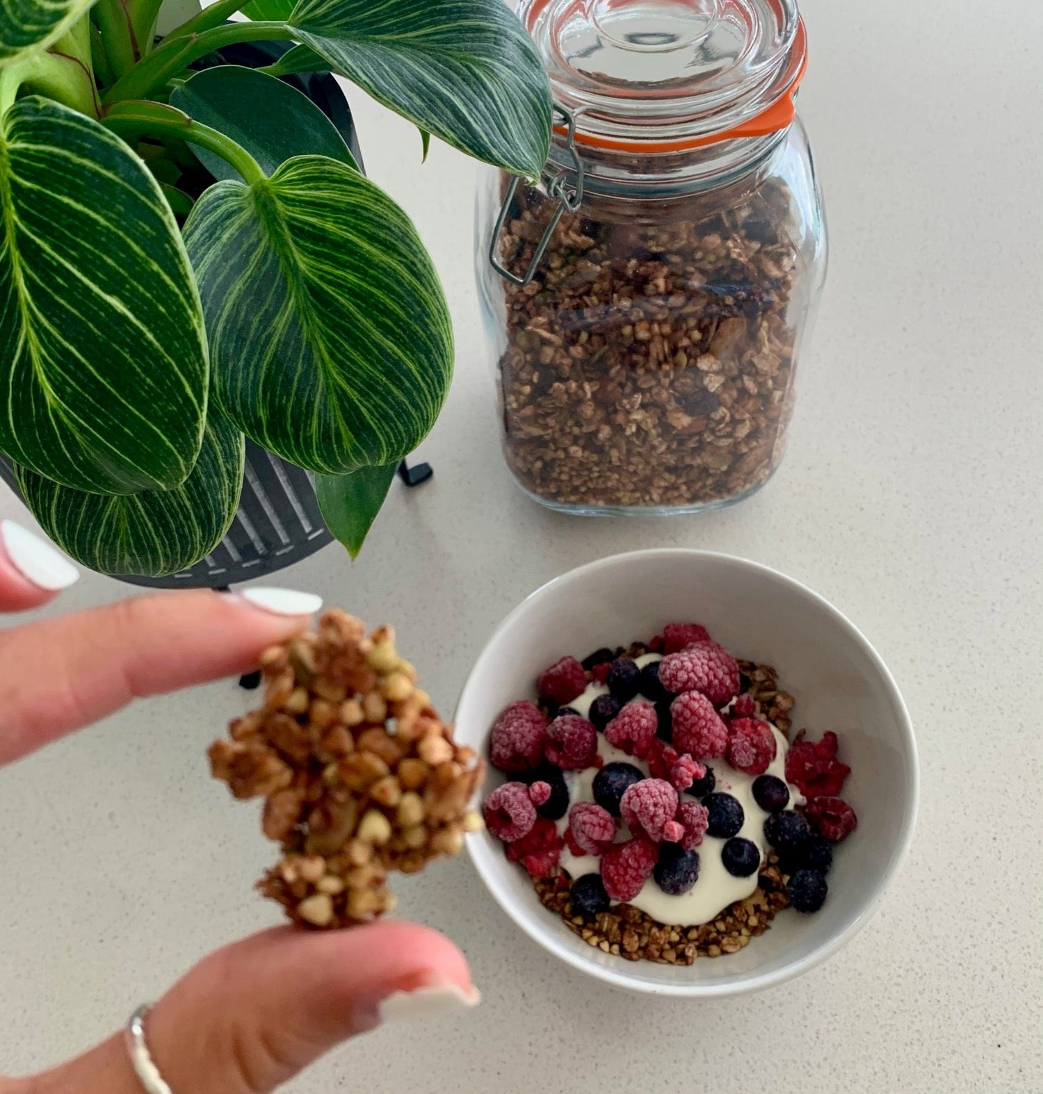 Homemade Nori Granola