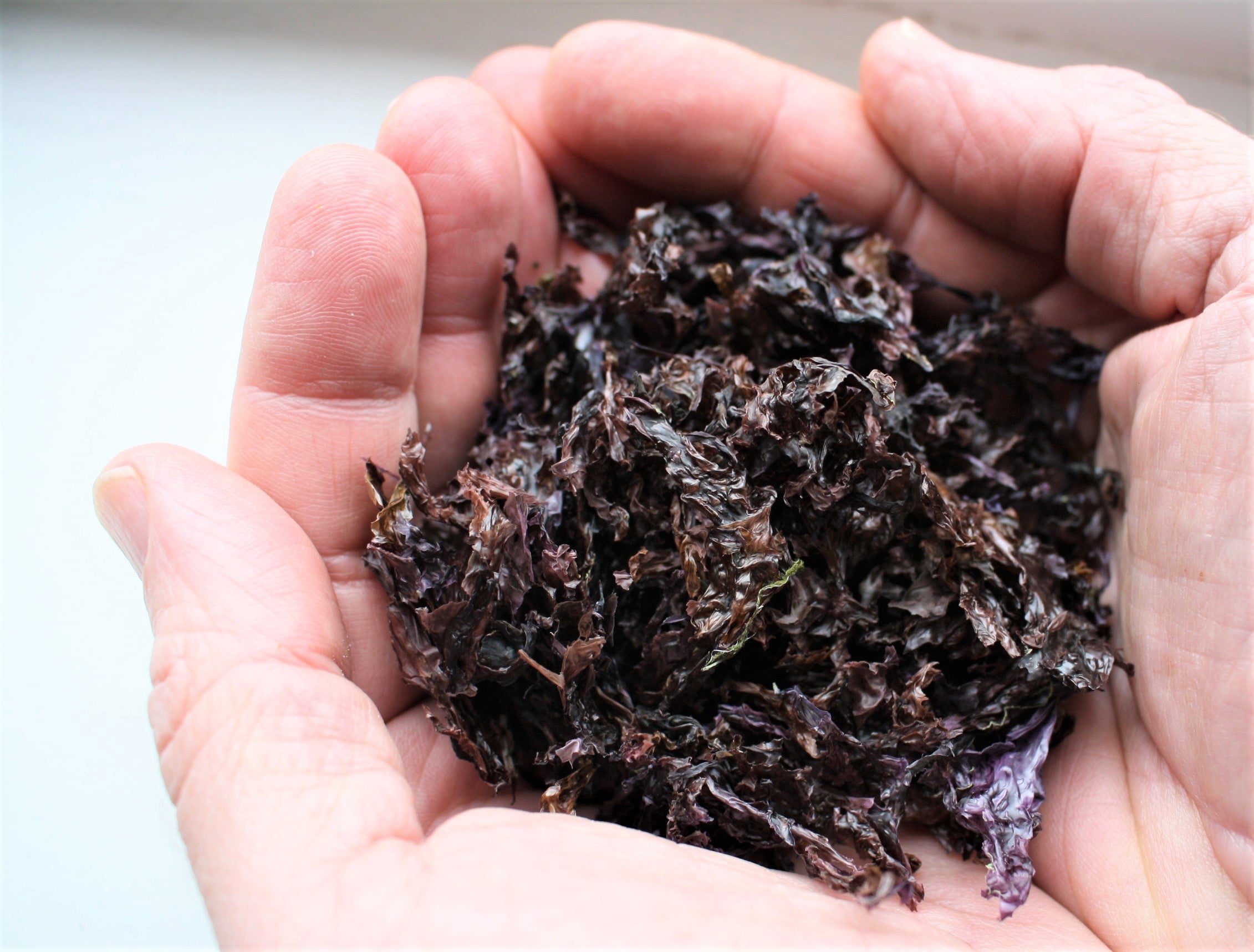 All About Nori Seaweed (a.k.a Karengo)