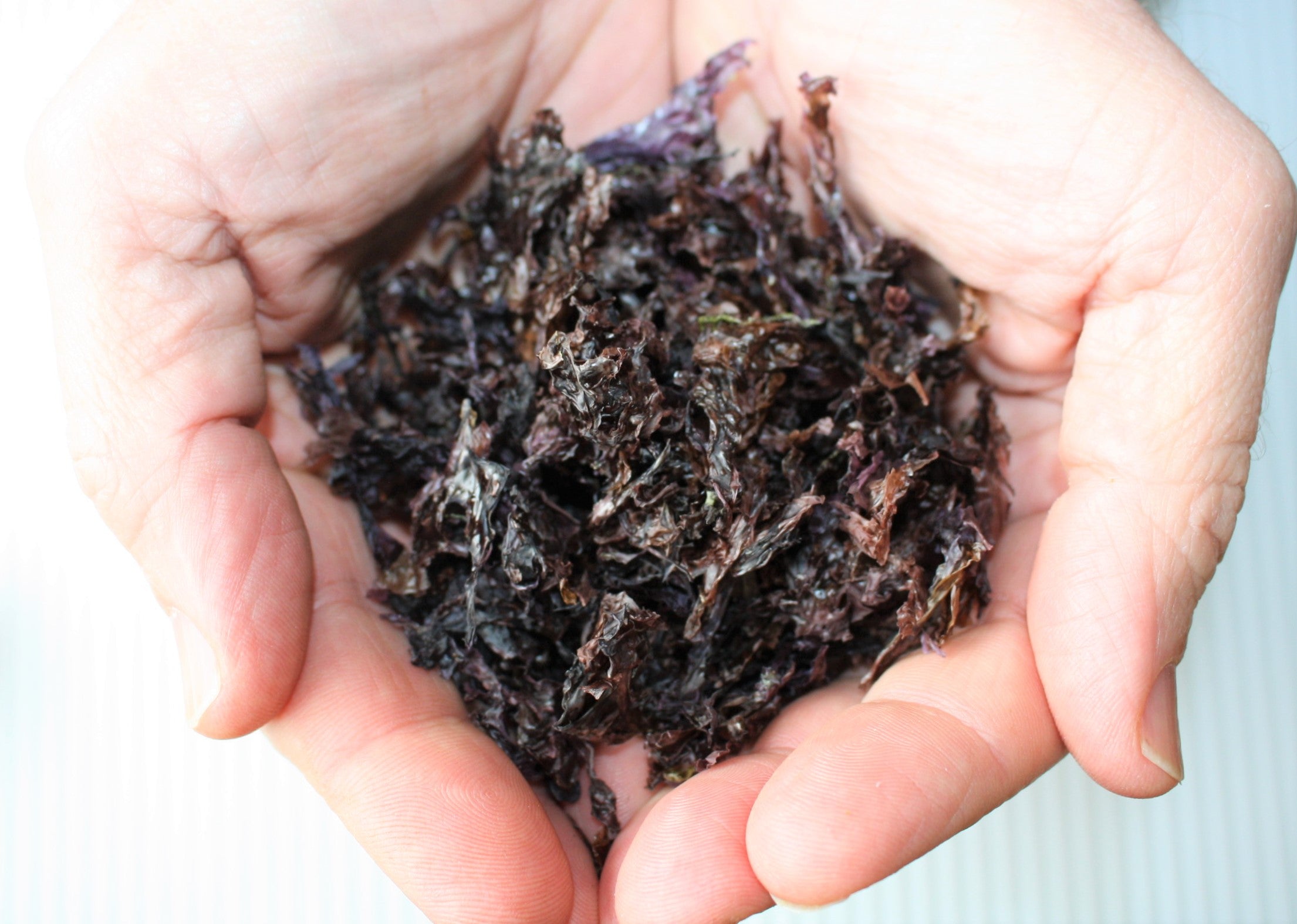 4 Quick Ways Seaweed Can Help Supercharge Your Metabolism