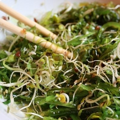 Sea Chicory Salad with Sprouts & Cucumber