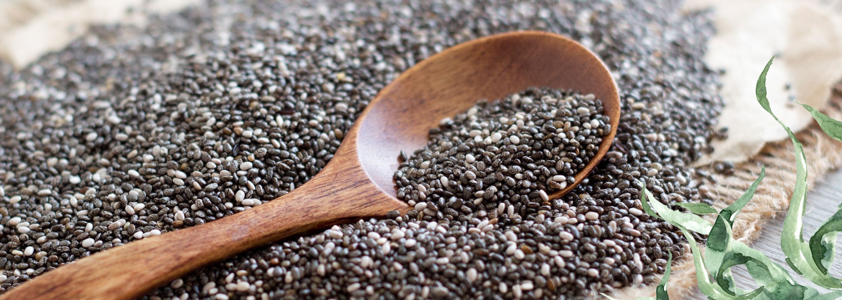 Chia meets seaweed website banner pacific harvest